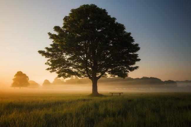 Photo de Simon Wilkes sur Unsplash